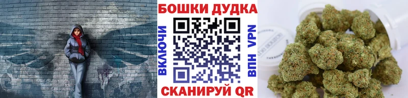 Купить  Старица  Канабис LSD WEED 